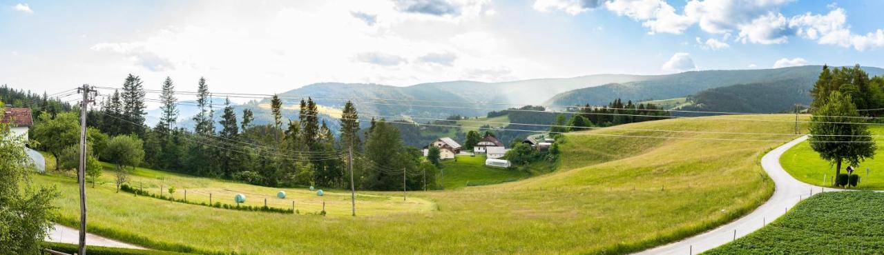 Apartma Tia 2 Zreče Buitenkant foto