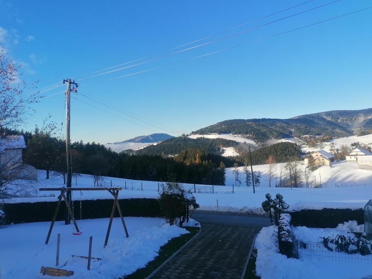 Apartma Tia 2 Zreče Buitenkant foto